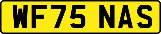 WF75NAS