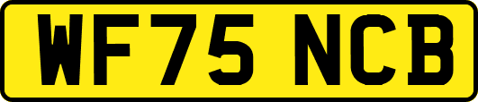 WF75NCB