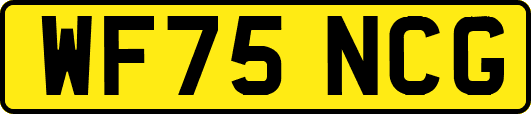WF75NCG