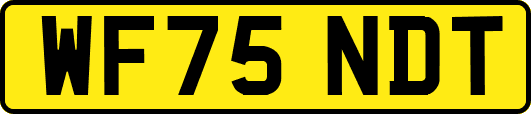 WF75NDT
