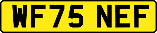 WF75NEF