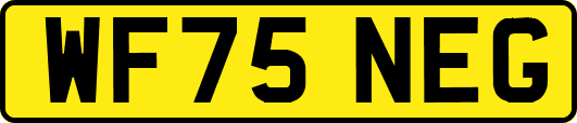WF75NEG