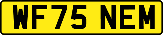 WF75NEM