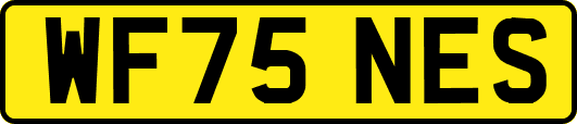 WF75NES