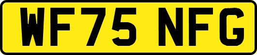 WF75NFG