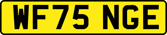 WF75NGE