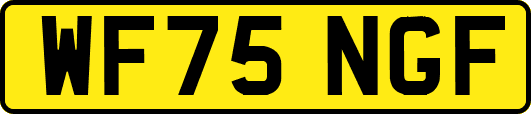 WF75NGF