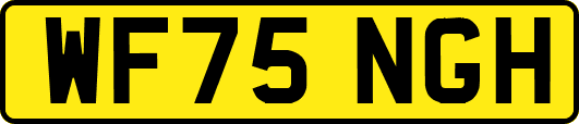 WF75NGH
