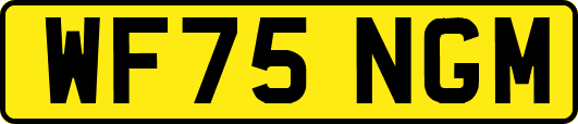 WF75NGM