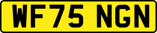 WF75NGN