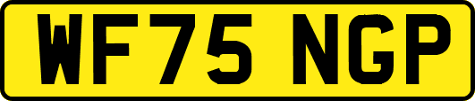 WF75NGP