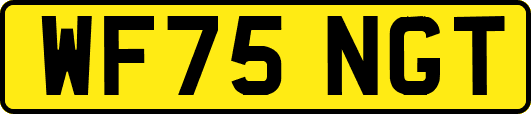WF75NGT