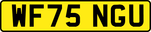 WF75NGU