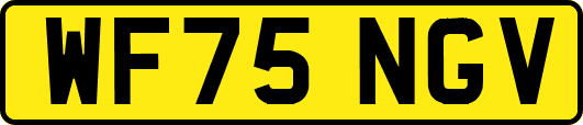 WF75NGV