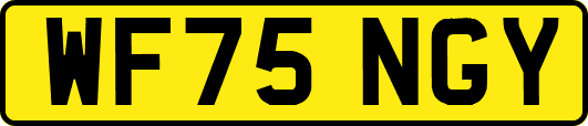WF75NGY