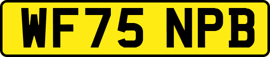WF75NPB