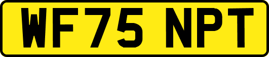WF75NPT