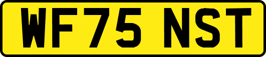 WF75NST