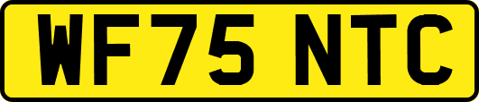 WF75NTC