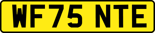 WF75NTE