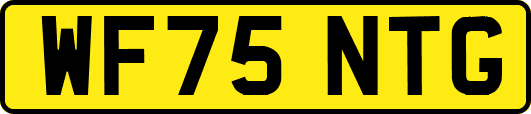 WF75NTG