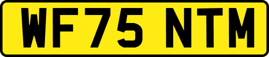 WF75NTM