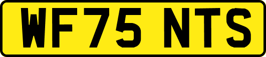 WF75NTS