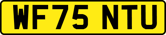 WF75NTU