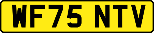 WF75NTV