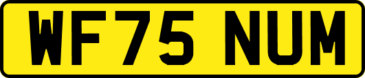 WF75NUM