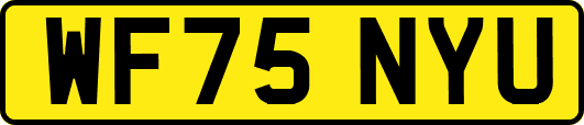 WF75NYU