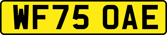 WF75OAE