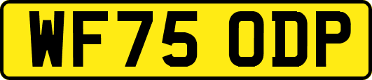 WF75ODP