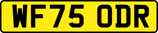 WF75ODR