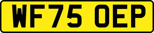 WF75OEP
