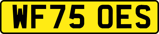 WF75OES
