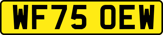 WF75OEW
