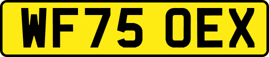 WF75OEX