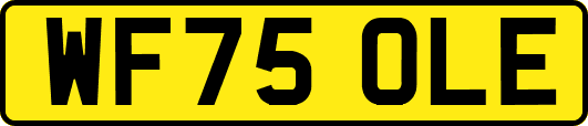 WF75OLE