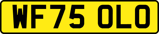 WF75OLO