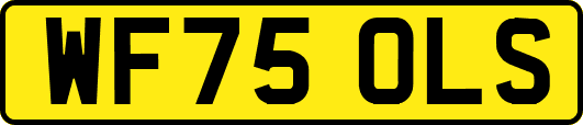 WF75OLS