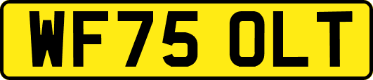WF75OLT