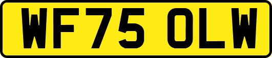 WF75OLW