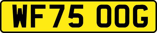 WF75OOG
