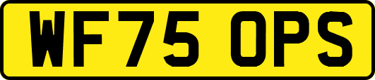 WF75OPS