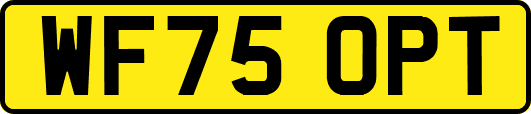 WF75OPT
