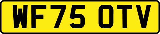 WF75OTV