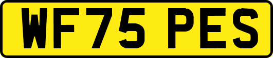 WF75PES