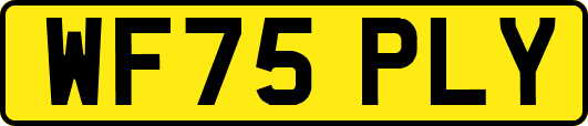 WF75PLY