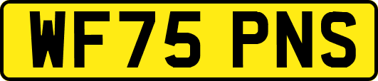 WF75PNS